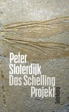 Das Schelling-Projekt