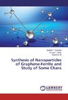 Synthesis of Nanoparticles of Graphene-Ferrite and Study of Some Chara