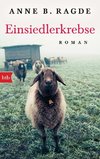 Einsiedlerkrebse