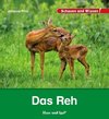 Das Reh