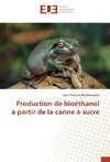 Production de bioéthanol à partir de la canne à sucre