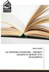 La subéraie tunisienne : situation actuelle et devenir d'un écosystème