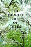 The Hidden Life of Trees