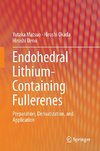 Endohedral Lithium-containing Fullerenes