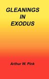 Gleanings in Exodus