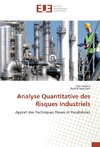 Analyse Quantitative des Risques Industriels