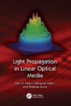 Light Propagation in Linear Optical Media