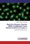 Reactive Oxygen Species (ROS) Production from Mitochondrial Complex II