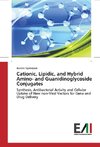 Cationic, Lipidic, and Hybrid Amino- and Guanidinoglycoside Conjugates