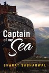 Captain of my Sea