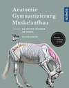 Anatomie, Gymnastizierung, Muskelaufbau