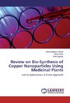 Review on Bio-Synthesis of Copper Nanoparticles Using Medicinal Plants