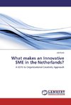 What makes an Innovative SME in the Netherlands?