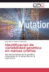 Identificación de variabilidad genética en maíces criollos