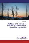 Patterns and drivers of wildfire occurrence and post-fire vegetation