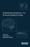 Evolutionary Anatomy of the Primate Cerebral Cortex