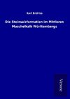 Die Steinsalzformation im Mittleren Muschelkalk Württembergs