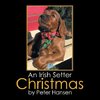 An Irish Setter Christmas