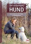 Der aufgeregte Hund