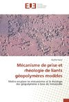 Mécanisme de prise et rhéologie de liants géopolymères modèles