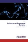 A glimpse at Dynamical Systems