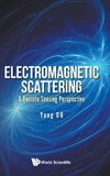 Electromagnetic Scattering