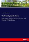 The Tribal System in Wales