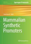 Mammalian Synthetic Promoters