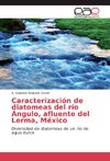 Caracterización de diatomeas del río Ángulo, afluente del Lerma, México