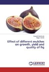 Effect of different mulches on growth, yield and quality of fig