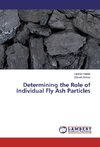 Determining the Role of Individual Fly Ash Particles