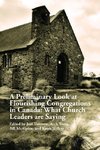 A Preliminary Look at Flourishing Congregations in Canada
