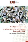 Modélisation de la croissance de la moule par le modèle DEB