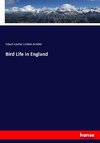 Bird Life in England