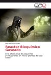 Reactor Bioquímico Gaseado