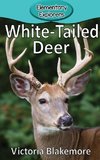 White-Tailed Deer