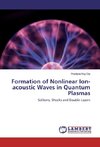 Formation of Nonlinear Ion-acoustic Waves in Quantum Plasmas