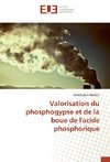 Valorisation du phosphogypse et de la boue de l'acide phosphorique