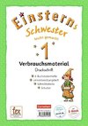 Einsterns Schwester - Erstlesen 1. Schuljahr - Leicht gemacht Druckschrift