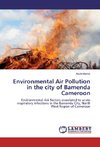 Environmental Air Pollution in the city of Bamenda Cameroon