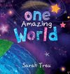 One Amazing World