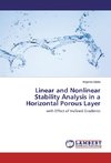 Linear and Nonlinear Stability Analysis in a Horizontal Porous Layer