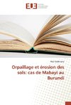 Orpaillage et érosion des sols: cas de Mabayi au Burundi