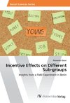 Incentive Effects on Different Sub-groups