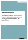 Identitätsentwicklung im Jugendalter. Welchen Einfluss hat das Konzept von James E. Marcia  auf die Arbeit mit Jugendlichen?