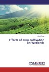 Effects of crop cultivation on Wetlands