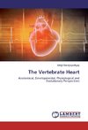 The Vertebrate Heart