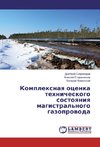 Komplexnaya ocenka tehnicheskogo sostoyaniya magistral'nogo gazoprovoda