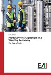 Productivity Stagnation in a Wealthy Economy