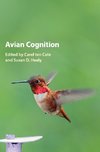 Avian Cognition